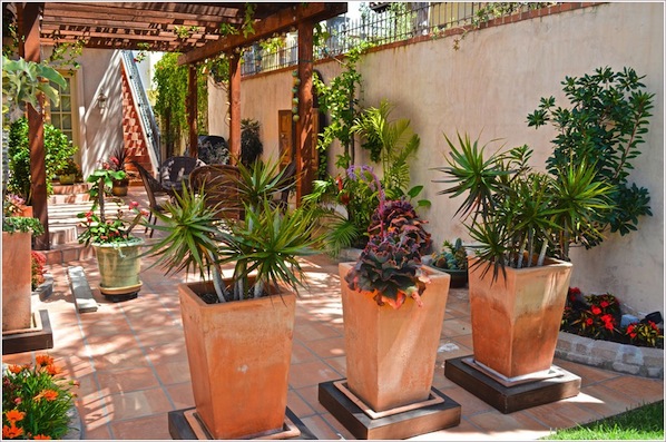 Patio-Mediterranean-Los-Angeles-arch-covered-patio-french-doors-lantern-large-planters-orange-spanish-Square-Planters-succulents-terracotta-trellis-tropical-plants-woven-chairs-wrought-iron-id-1684